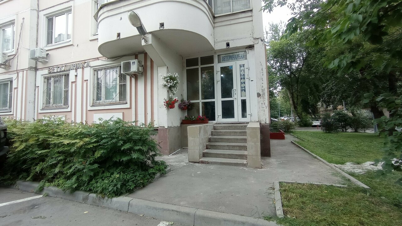 Династия