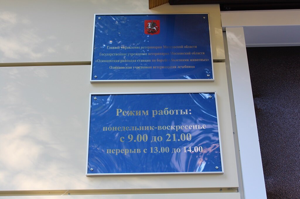 Одинцовская участковая ветеринарная лечебница — фото 3