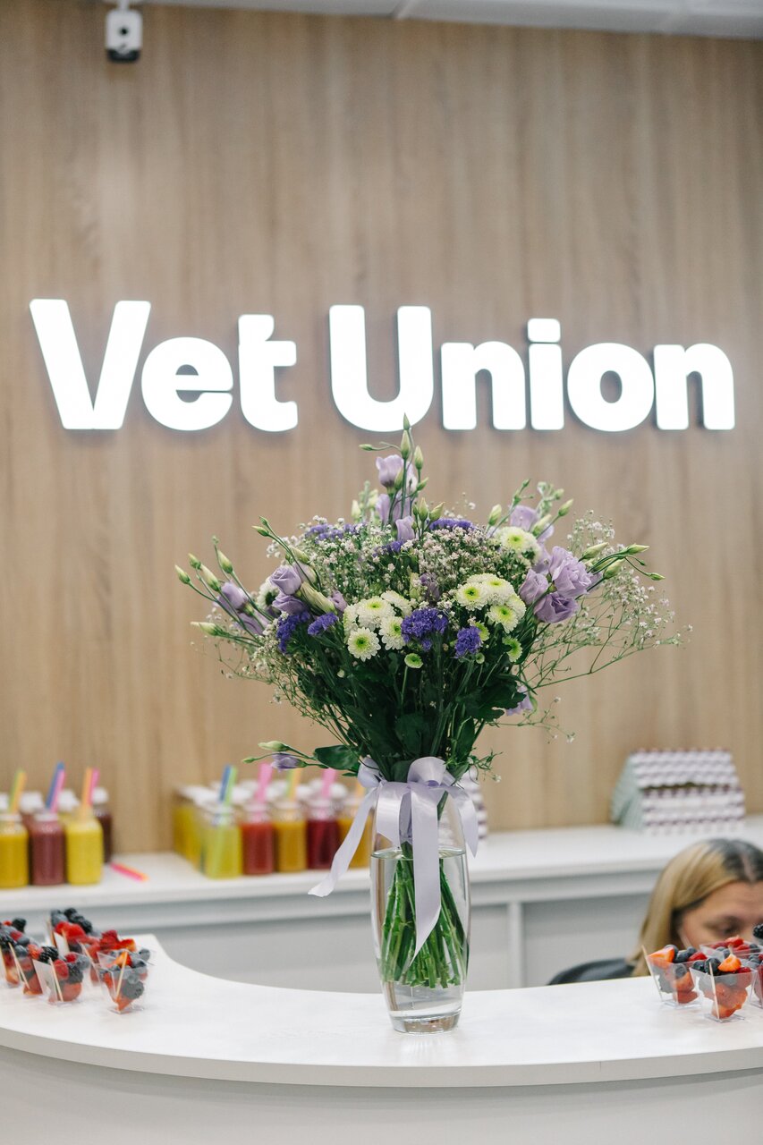Vet Union — фото 2
