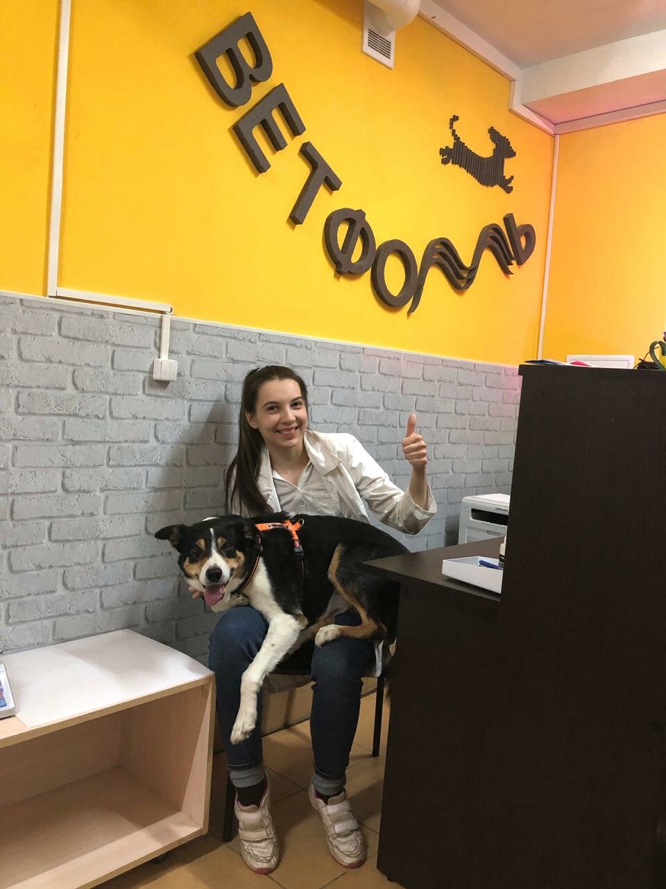 ВетФолль