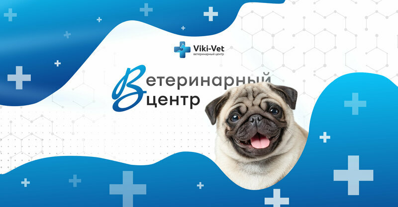 Viki-Vet