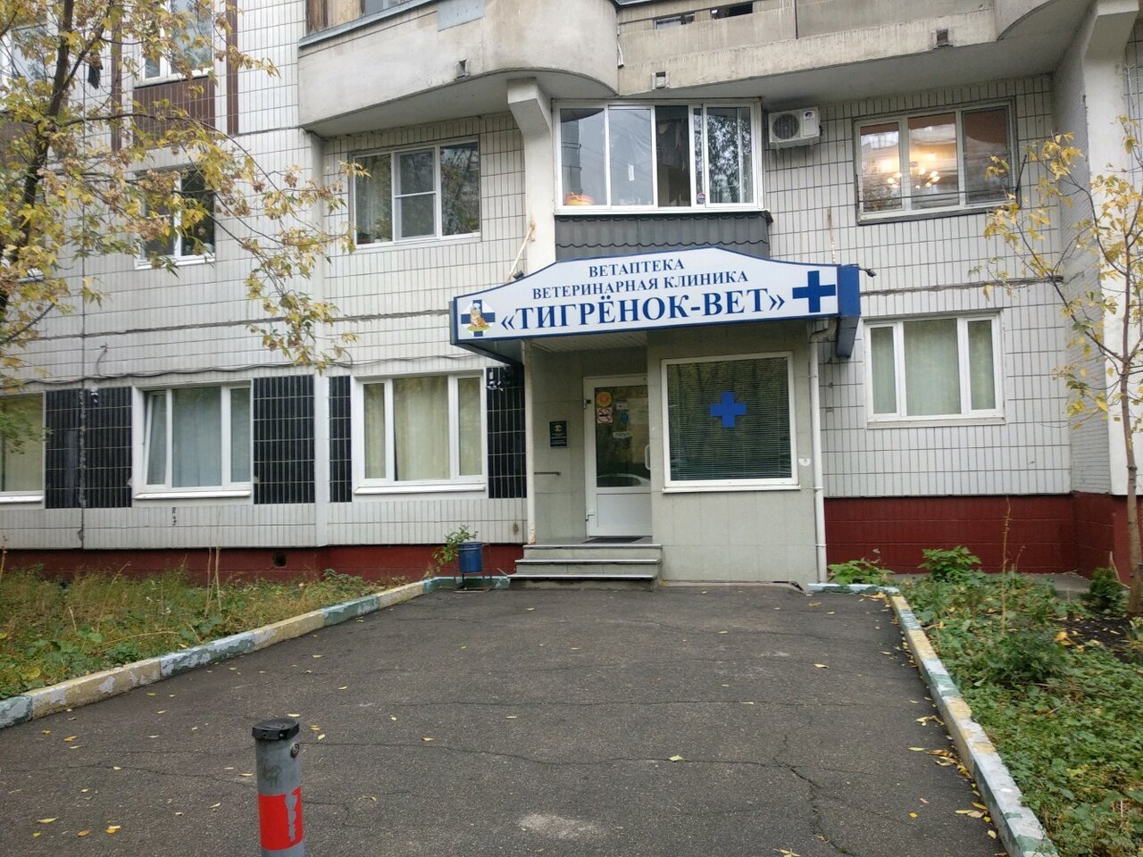Тигрёнок-Вет