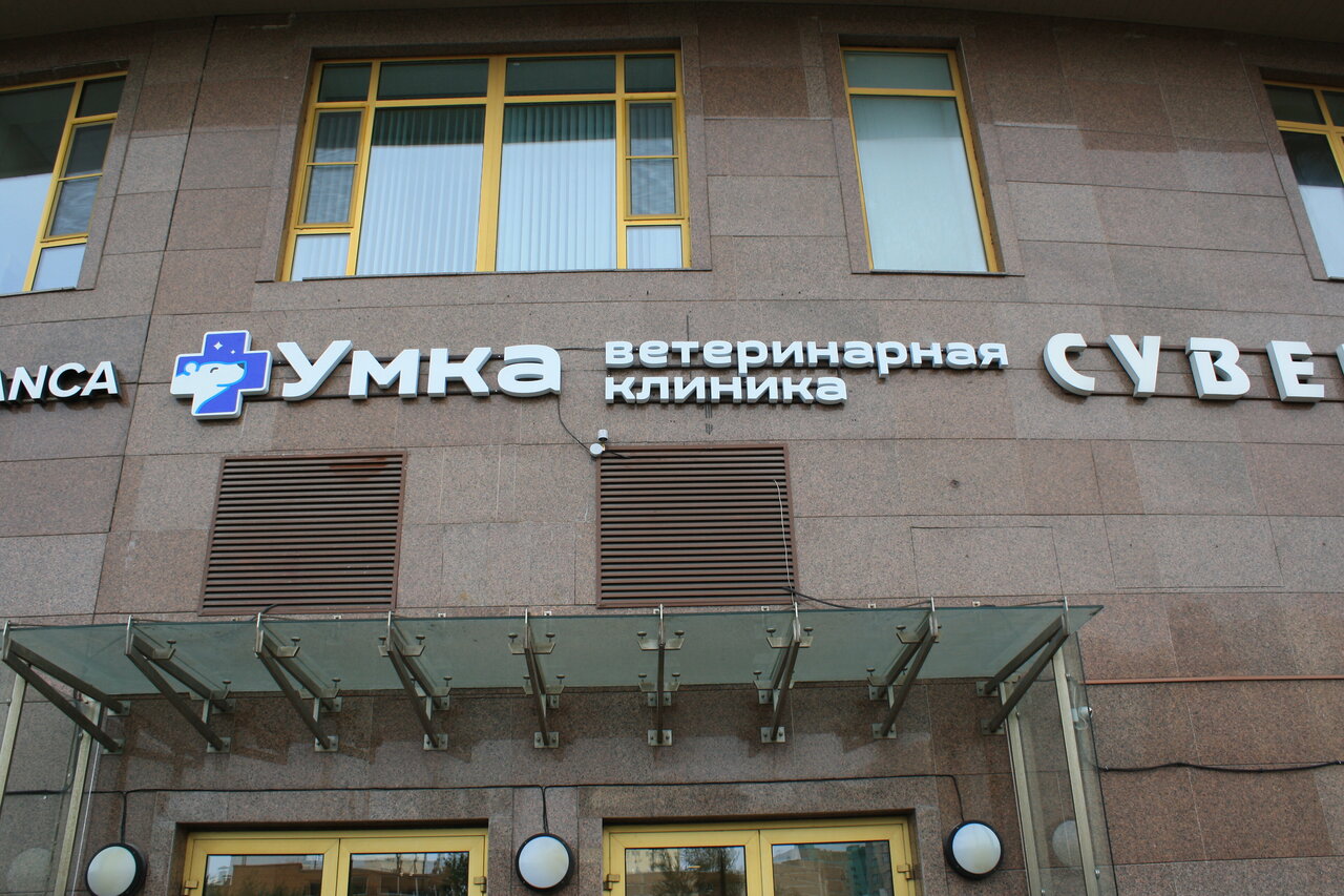 Умка