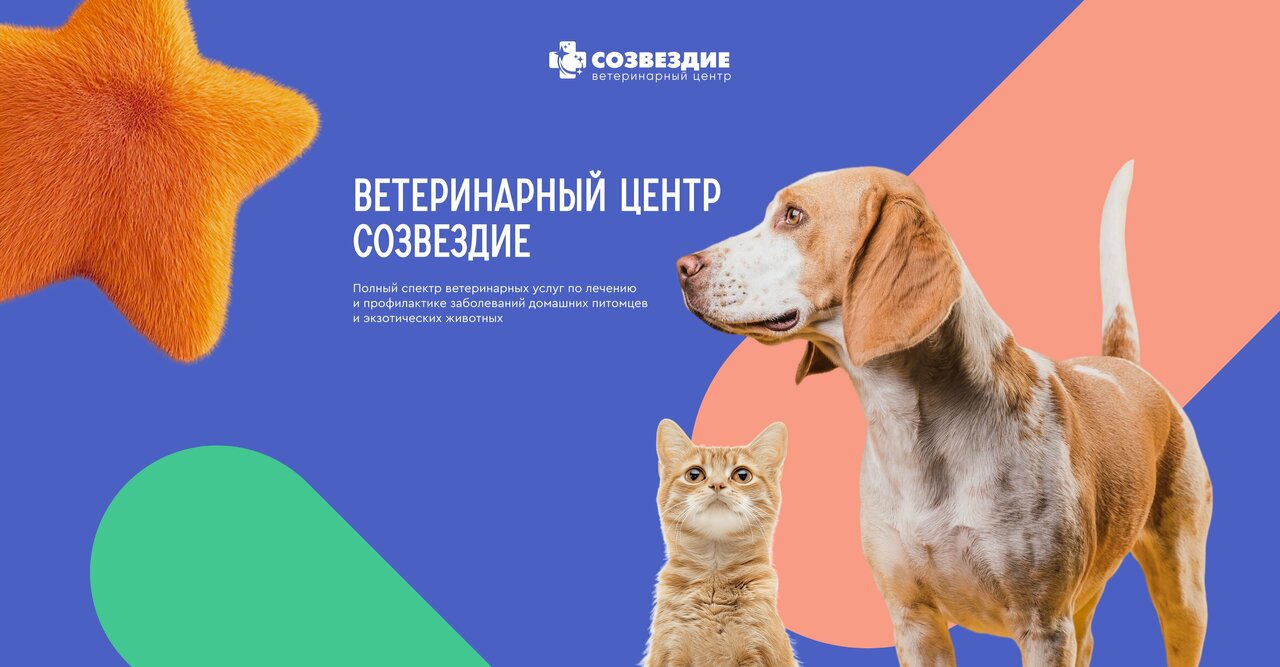 Созвездие