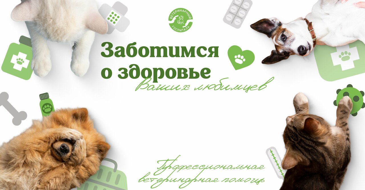 Ветеринарный госпиталь