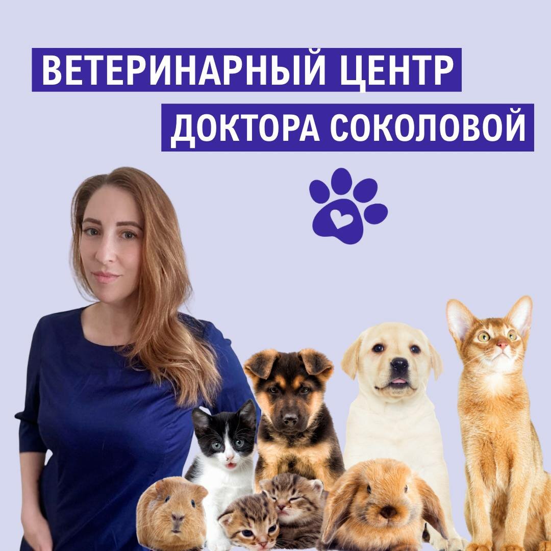 Ветеринарный центр доктора Соколовой