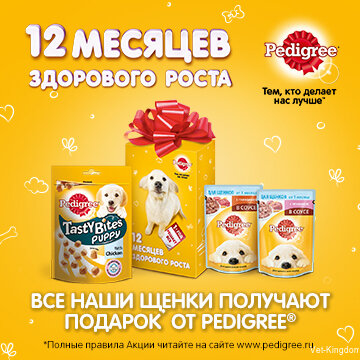 Ветклиника — фото 3
