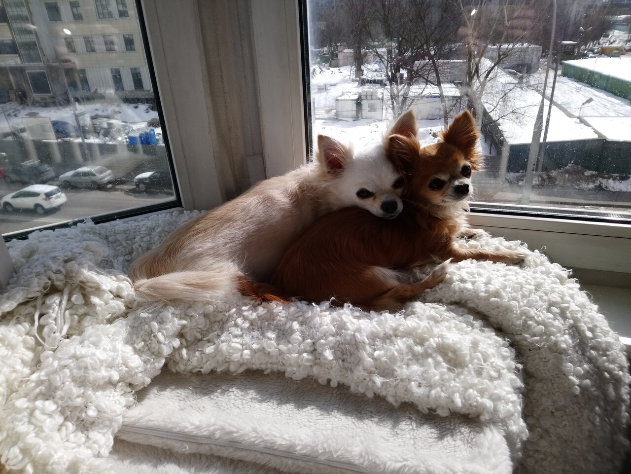 Берлога — фото 4