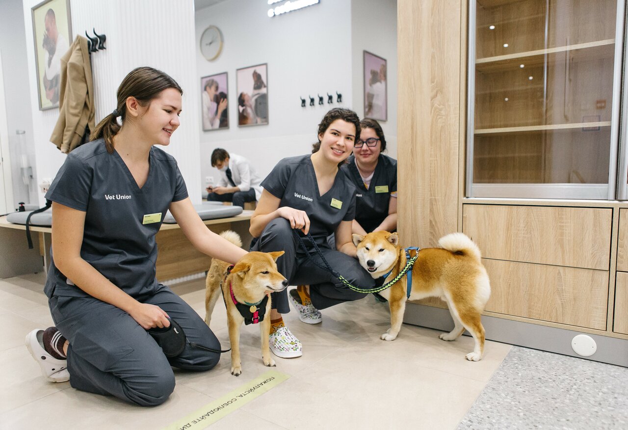 Vet Union