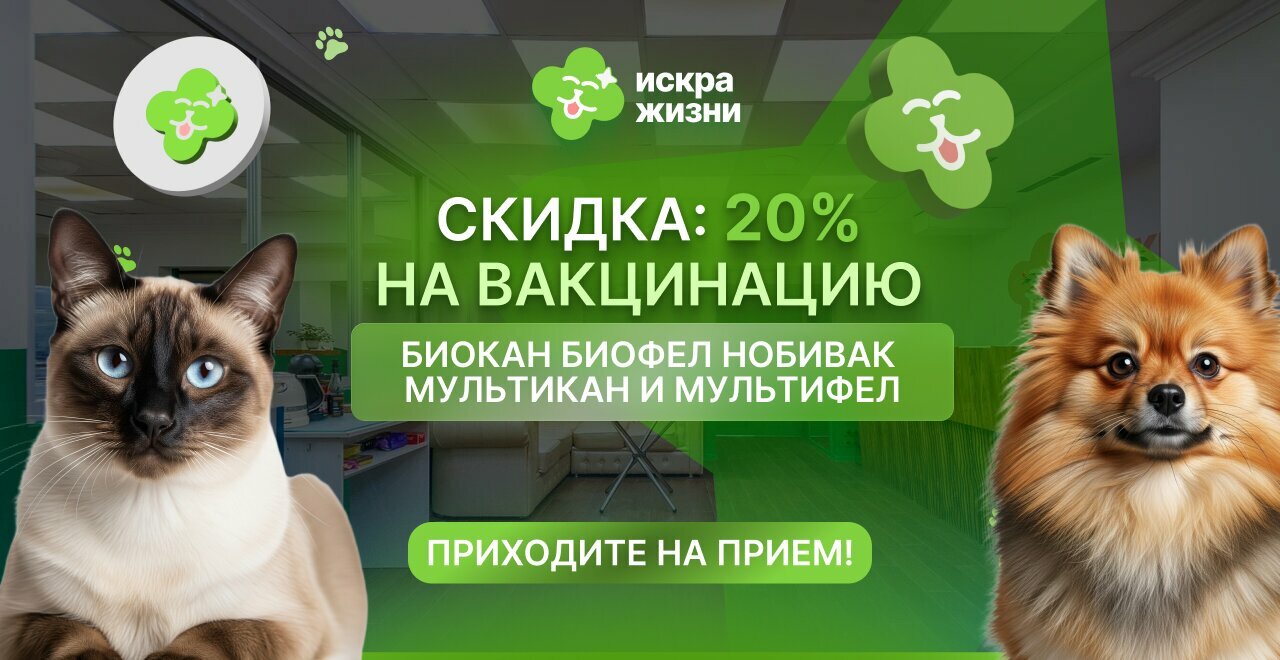 Искра жизни — фото 4