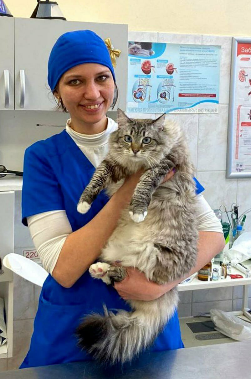 Красносельская ветеринарная лечебница — фото 2
