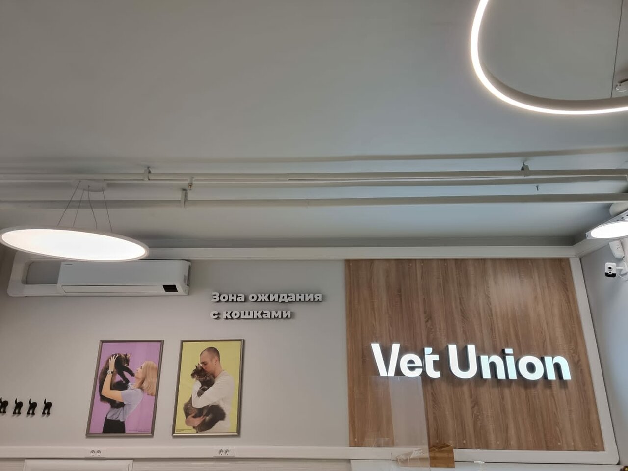 Vet Union — фото 3