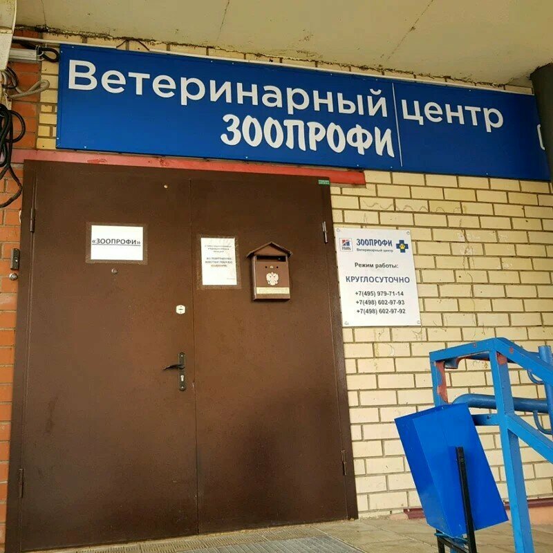 Зоопрофи — фото 3