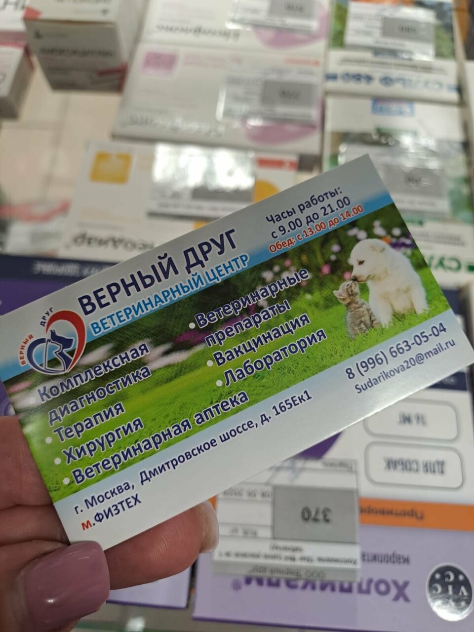 Верный Друг — фото 3