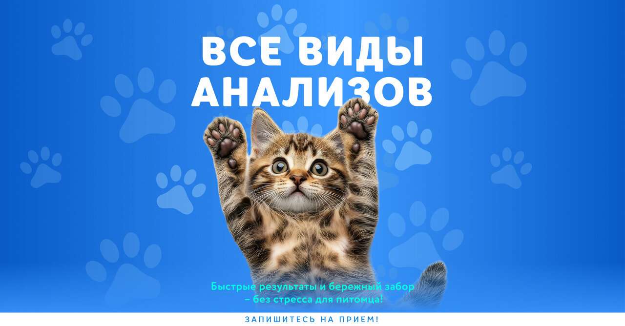 Веда