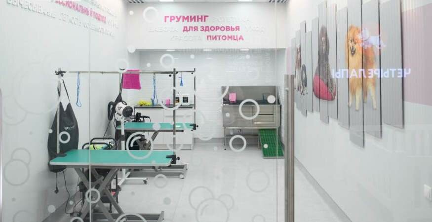 Четыре Лапы Ветцентр — фото 2