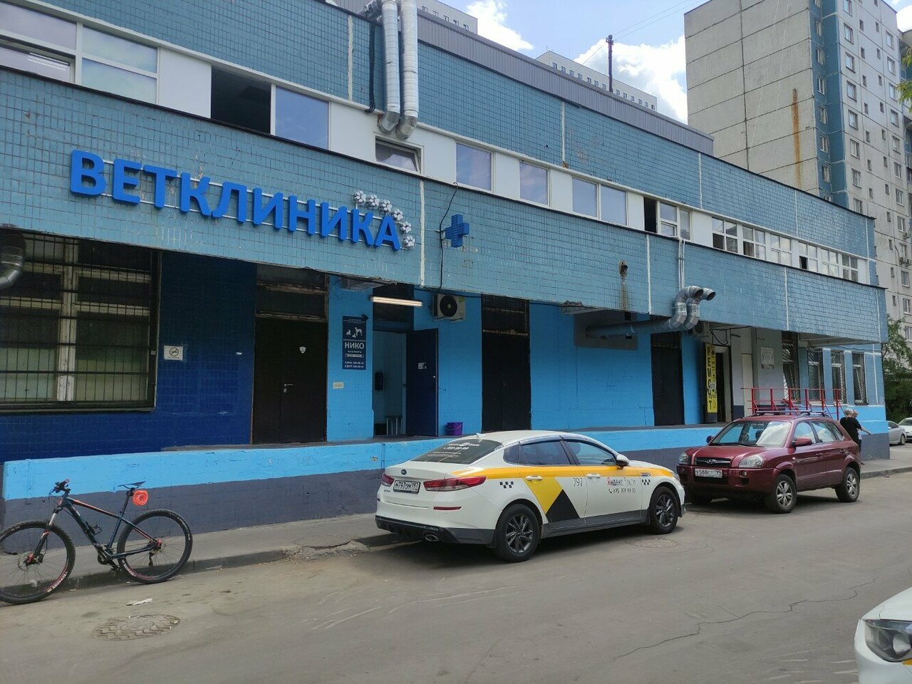 Нико — фото 2