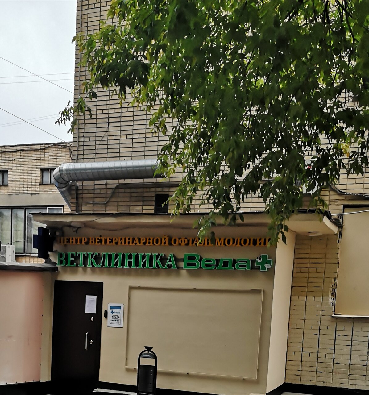 Центр ветеринарной офтальмологии доктора Шилкина А. Г.