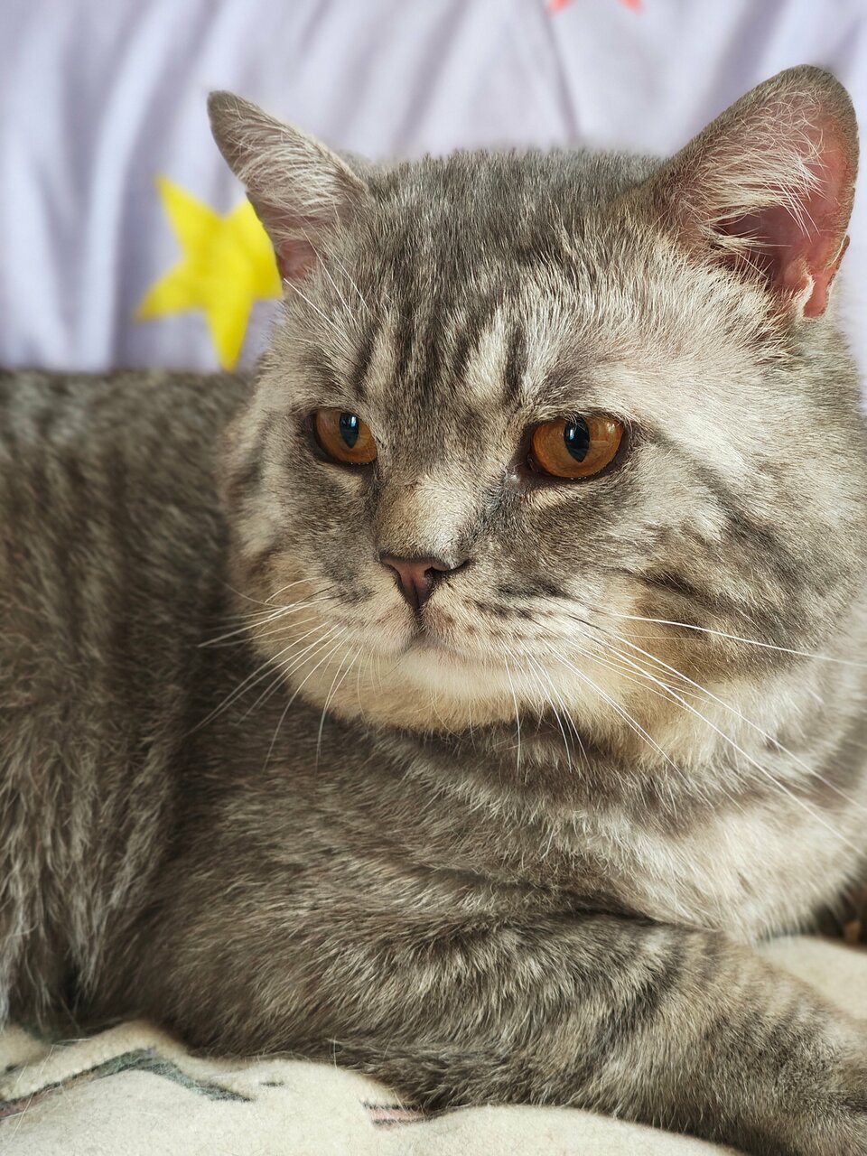 Акуна Матата — фото 3