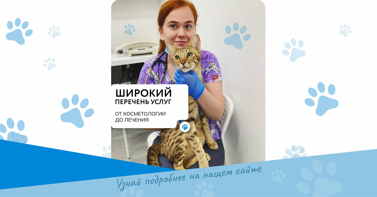 Веда — фото 2
