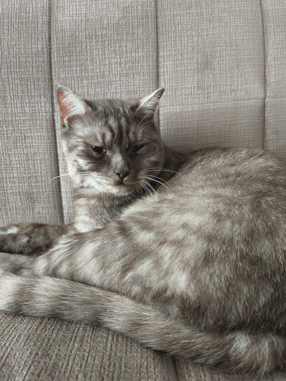 Человек и Кошка — фото 3