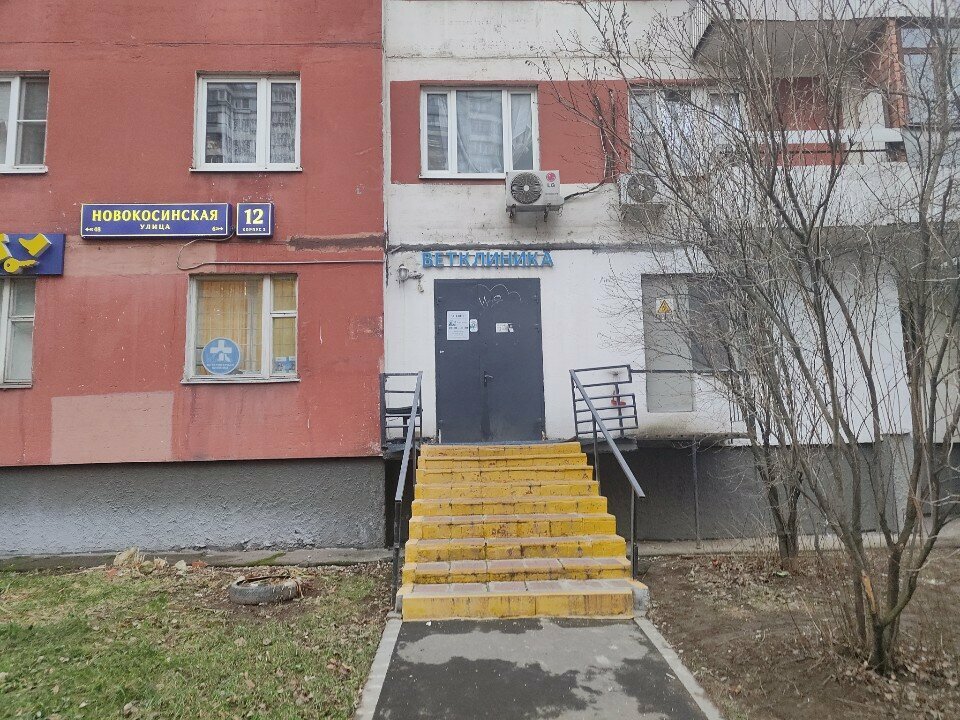 Ан-вет