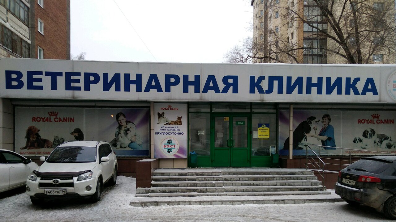 Сибирский центр постдипломного ветеринарного образования — фото 2