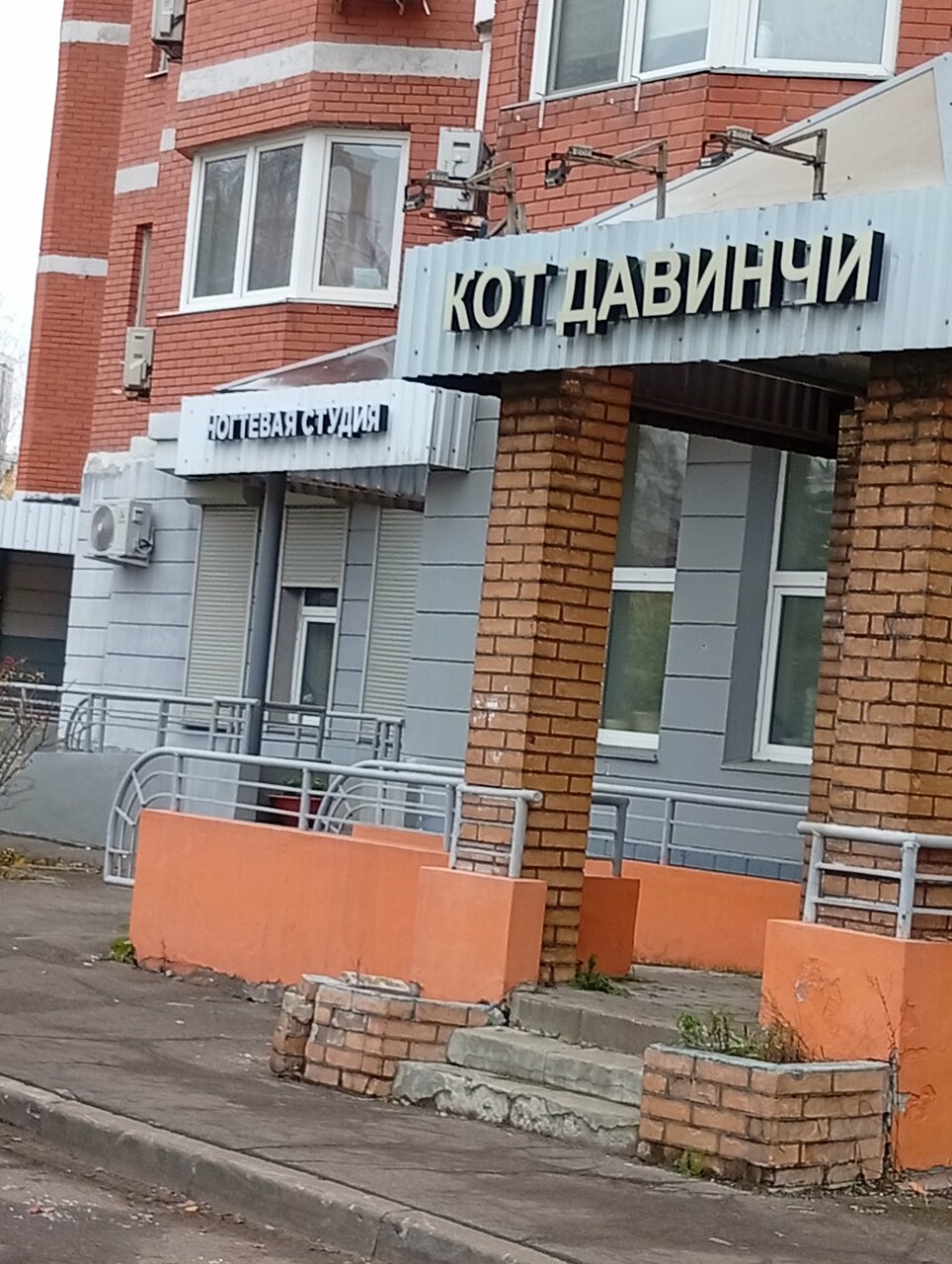 Кот ДаВинчи