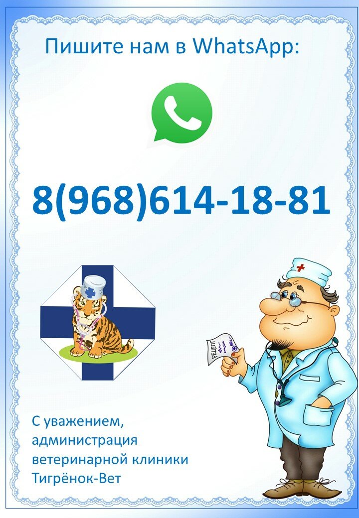 Тигрёнок-Вет — фото 3