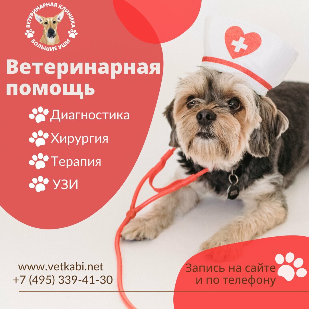 Большие уши