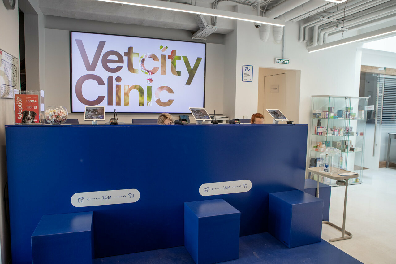 Vetcity Clinic — фото 2
