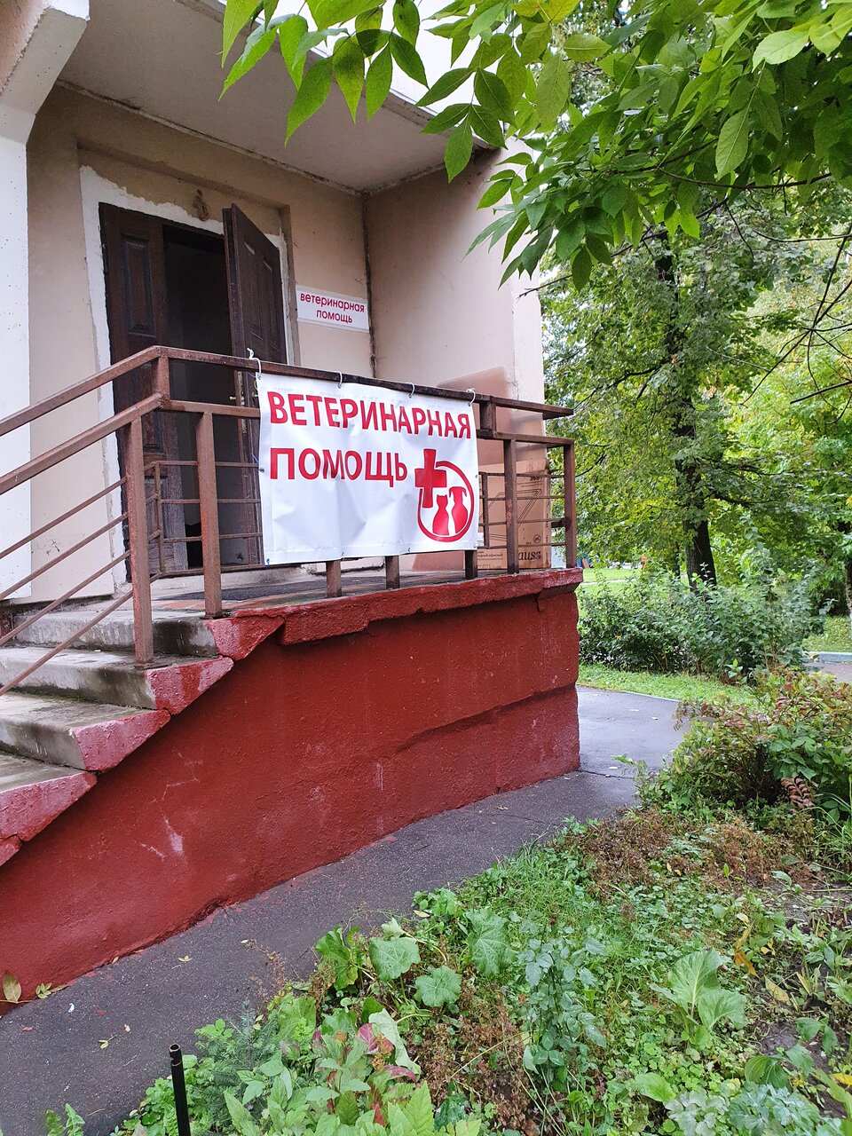 Амиго