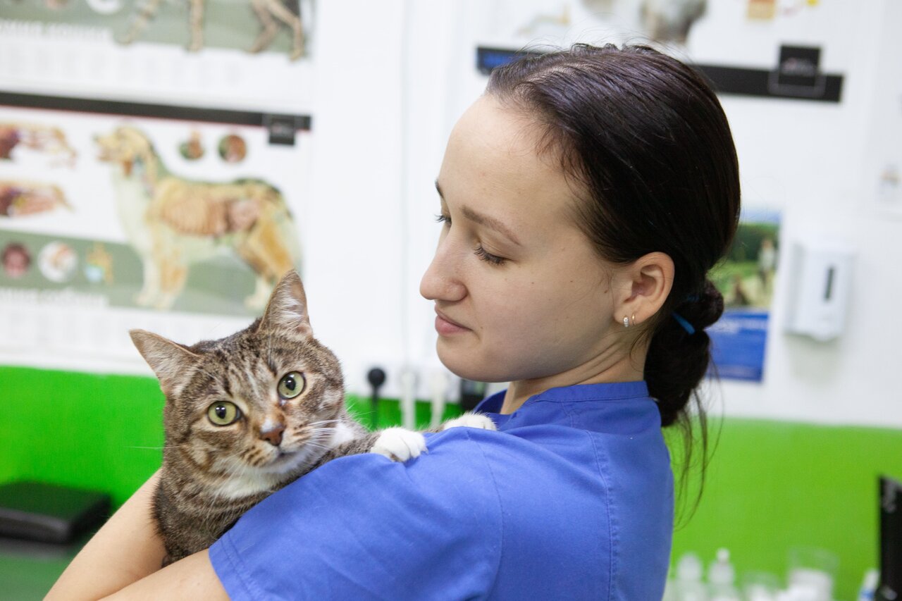 Биовет — фото 3