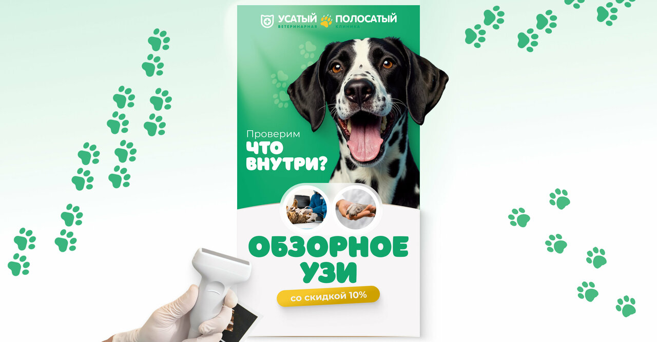 Усатый Полосатый