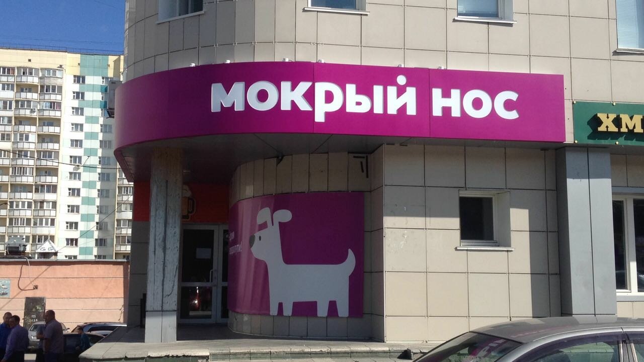 Мокрый нос — фото 2