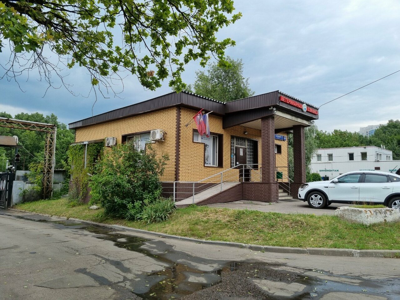 Фауна