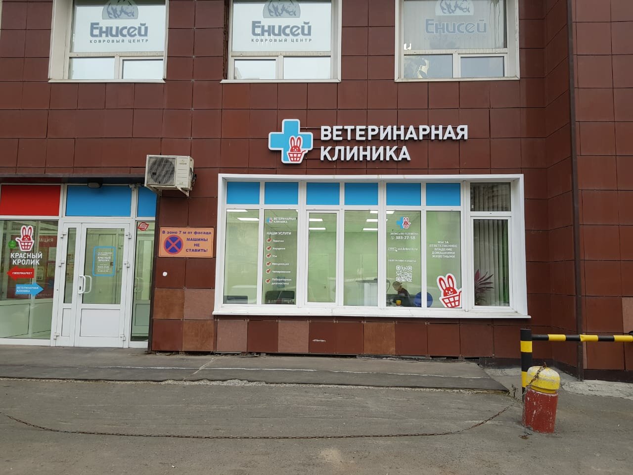 Красный кролик — фото 3