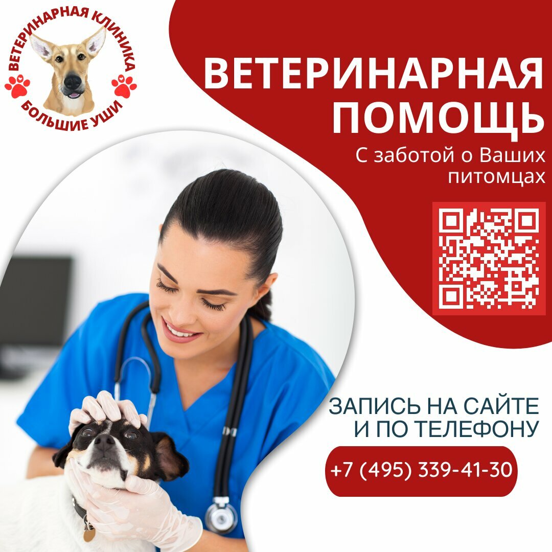 Большие уши — фото 2