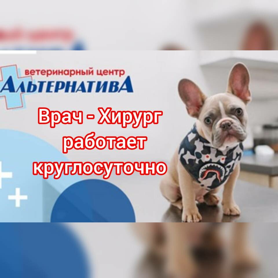 Альтернатива — фото 5