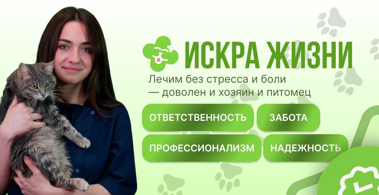 Искра жизни — фото 5