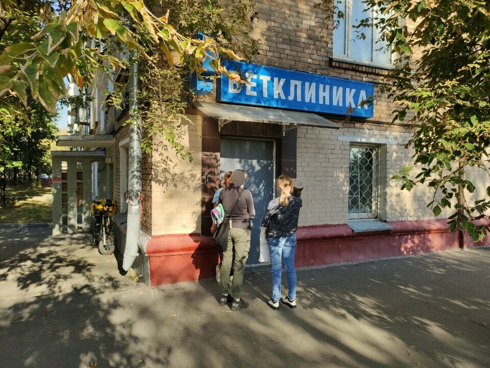Абсолют Вет