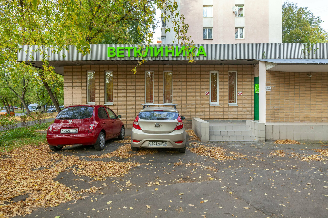 Ветеринарная клиника доктора Самонова — фото 3