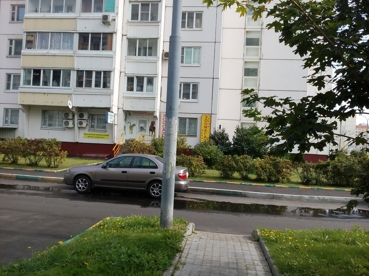 Добрый мир — фото 3