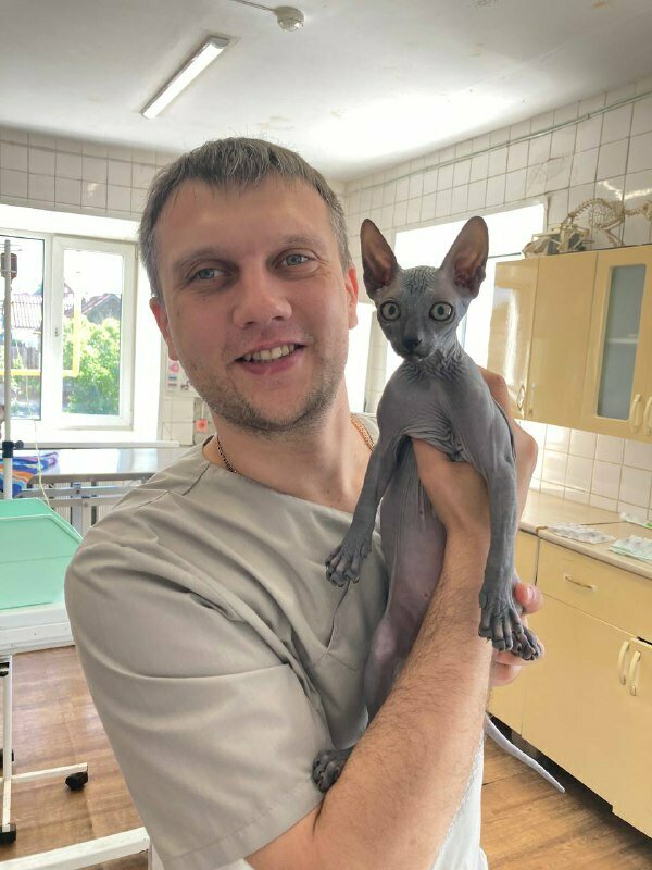 Ветклиника Доктора Филиппова