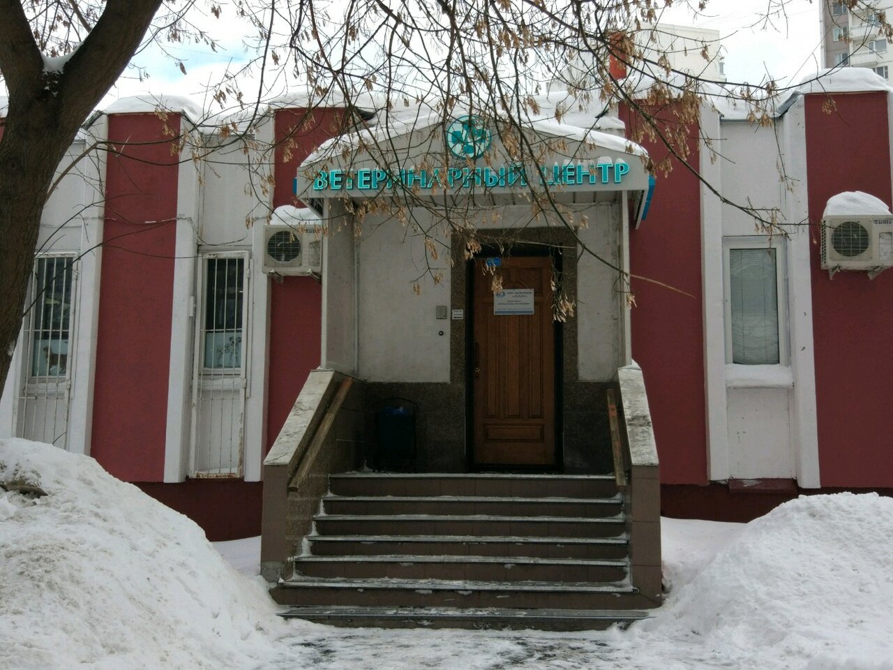 Лебеди