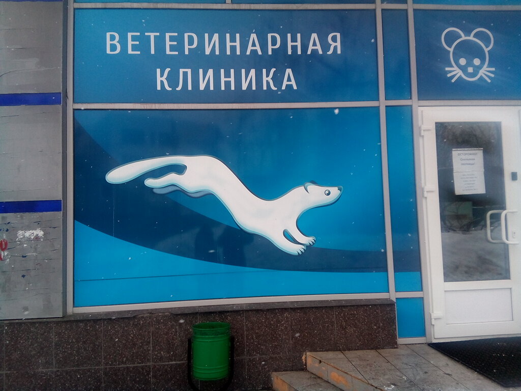 Ласка — фото 3