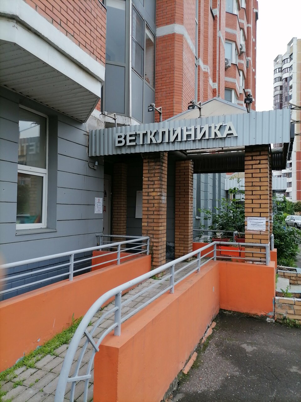 Кот ДаВинчи — фото 3