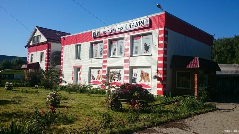 Флора