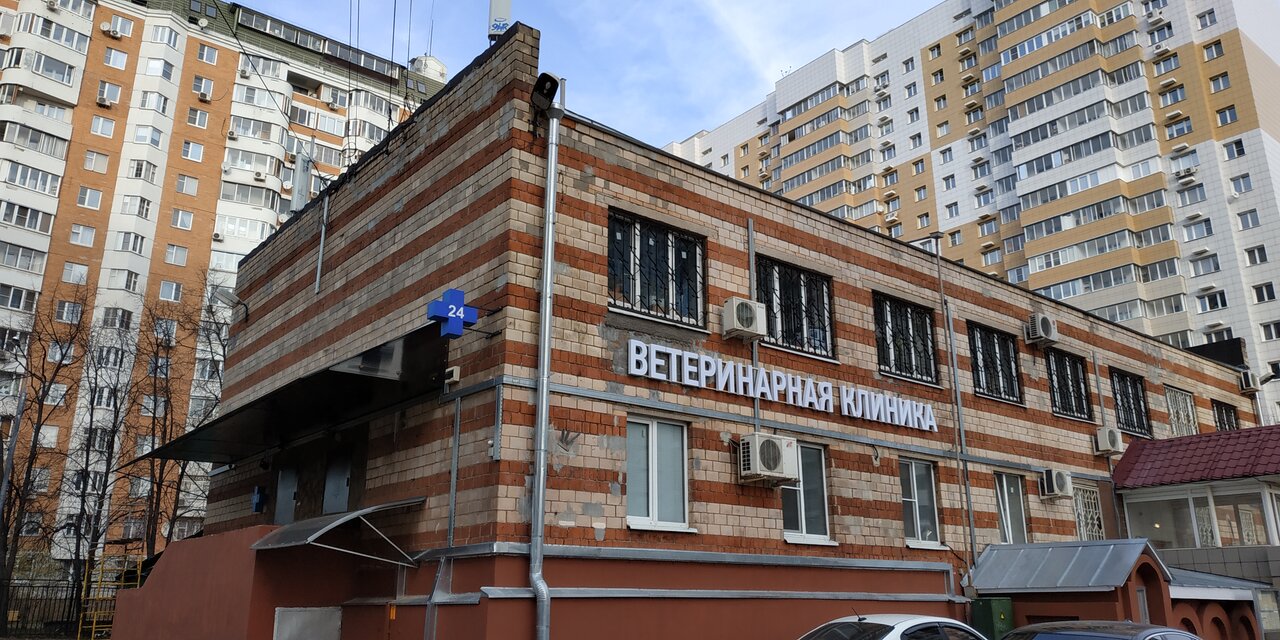 Высота
