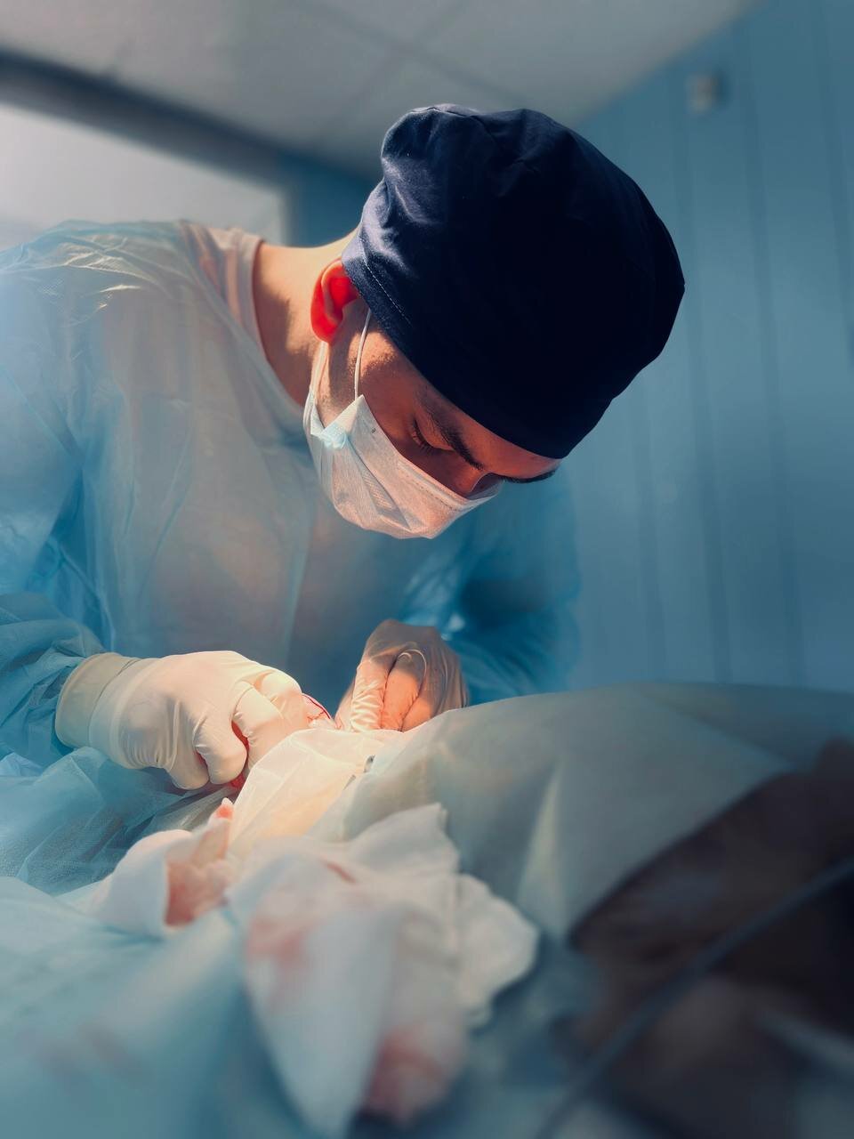 Энималз — фото 3
